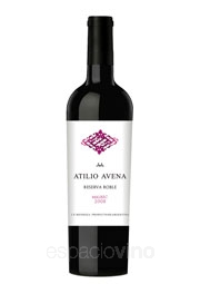 Atilio Avena Reserva Roble Malbec