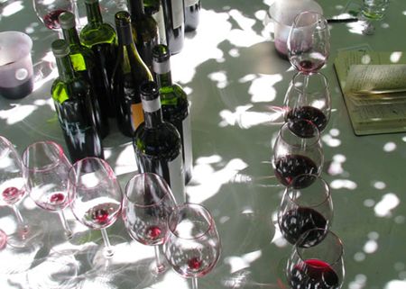 10 conceptos básicos para saber de vinos