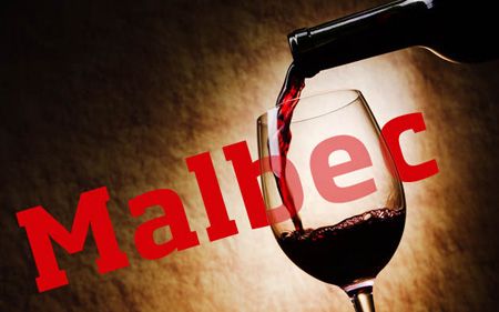 12 vinos para conocer el sabor del Malbec en cada región