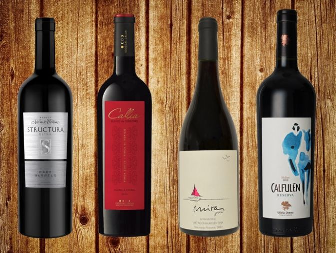4 nuevos vinos que no podés dejar de probar