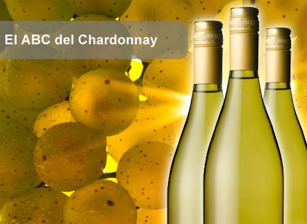 El ABC del Chardonnay: 10 claves para conocer mejor las cualidades de esta variedad