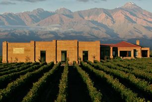 Valle de Uco: el nuevo hot spot del vino argentino