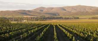 Buenos Aires tendrá su propia ruta del vino
