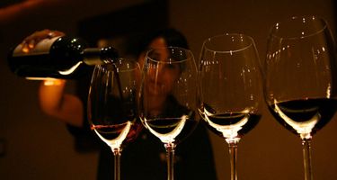 Qué difícil es elegir un vino bueno en Mendoza