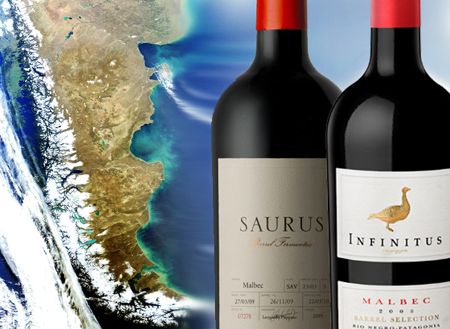 Con el sello de la Patagonia, llegan las nuevas añadas de dos reconocidas líneas de vinos
