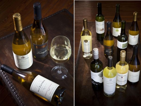 ¿Por qué los vinos blancos son mejores que antes?