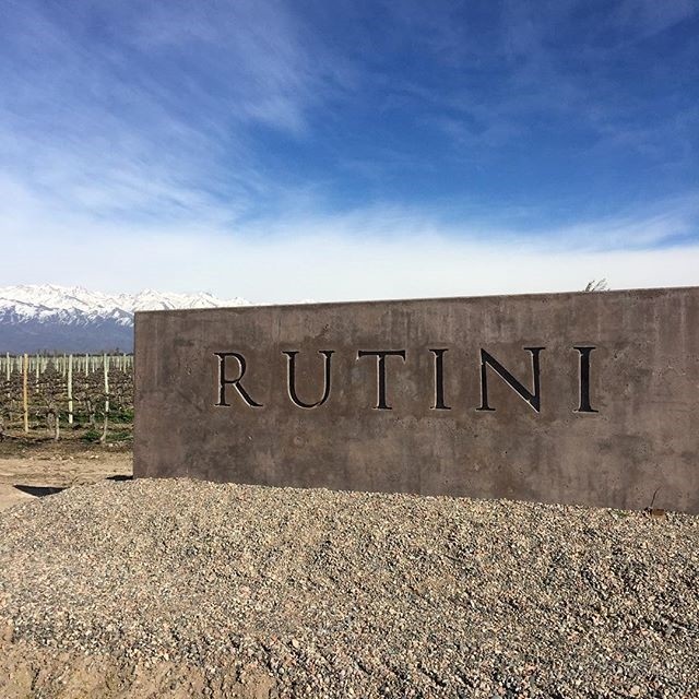 Rutini Wines