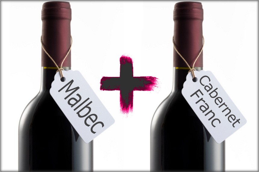 La pareja perfecta: 6 vinos recomendados que conjugan Malbec y Cabernet Franc