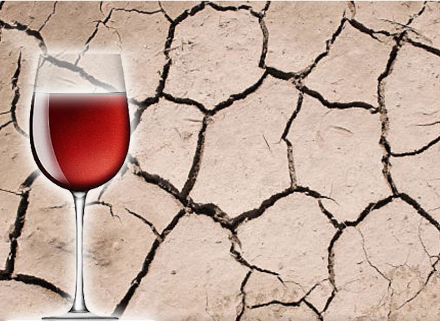 Diez vinos extremos que resumen el espíritu épico de la vitivinicultura argentina