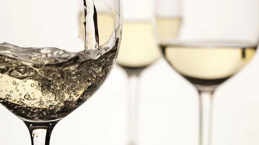 Así son los vinos Sauvignon Blanc y 6 etiquetas de diferentes precios para probar