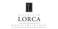 Mauricio Lorca