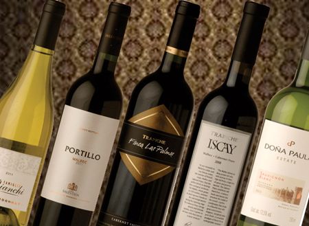 Aquí están, estos son los 18 vinos de exportación más premiados de la Argentina