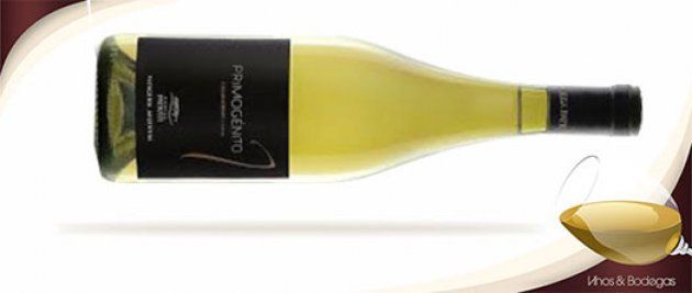 Guía de compras: qué vinos blancos de alta gama elegir según tu estilo