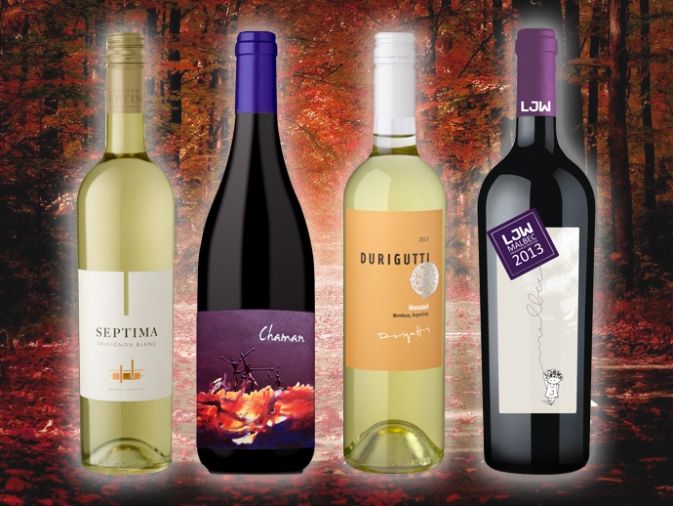 4 vinos nuevos para probar este otoño