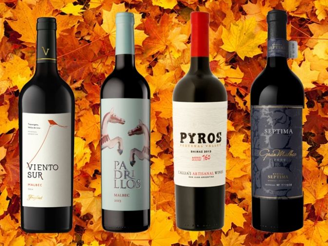 4 vinos nuevos para disfrutar en otoño