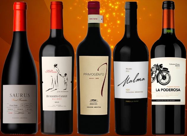 Vinos recomendados: cinco tintos para distintos presupuestos y con todo el carácter patagónico