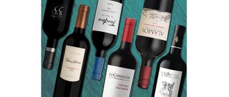 Cabernet best buy: 6 etiquetas recomendadas por menos de 40 pesos