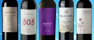 Vinos recomendados: cinco etiquetas 100% de estreno y aptas para todos los bolsillos