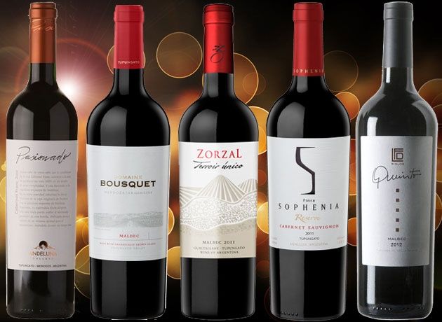 Vinos recomendados: cinco ejemplares de Gualtallary para conocer el potencial del terroir