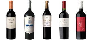 Vinos recomendados: cinco Malbec de entre $60 y $140 que te garantizan una "inversión" segura