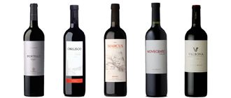 Aquí están, estos son los cinco Malbec ideales para tener en casa y cuidar el presupuesto