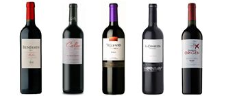 Cinco vinos ideales para tener en casa: jóvenes y por menos de $30