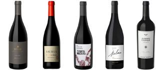 Top 5: vinos tintos con el sello de la Patagonia que no podés dejar de probar