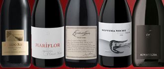 Vinos recomendados: cinco Pinot Noir para saber qué hay más allá de la Patagonia