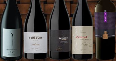 Vinos recomendados: cinco Pinot Noir de alta gama para descubrir el potencial de esta variedad