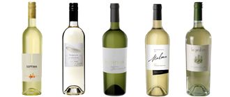 Cinco de los mejores Sauvignon Blanc para tener en casa y palpitar el verano