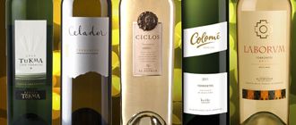 Vinos recomendados: cinco grandes Torrontés de alta gama con "ADN" salteño que no hay que dejar de probar