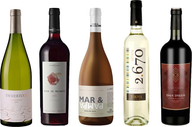 5 vinos de zonas no tradicionales que tenés que probar