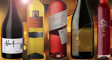 Vinos recomendados: cinco ejemplares "raros" para sorprender a tus invitados