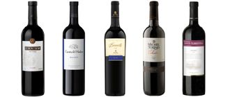 Vinos "pocket friendly": cinco etiquetas recomendadas que no fallan por menos de $20