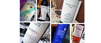 Seguro nunca oíste hablar ni probaste alguno de estos seis vinos