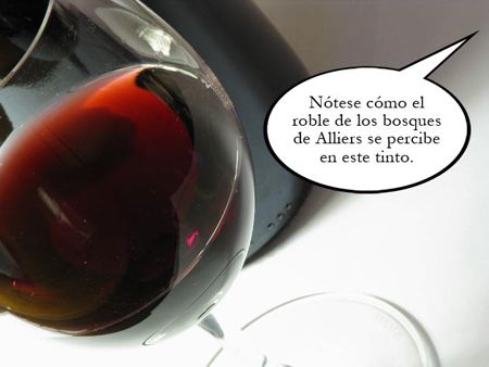 8 cosas que se dicen del vino que no le interesan a nadie