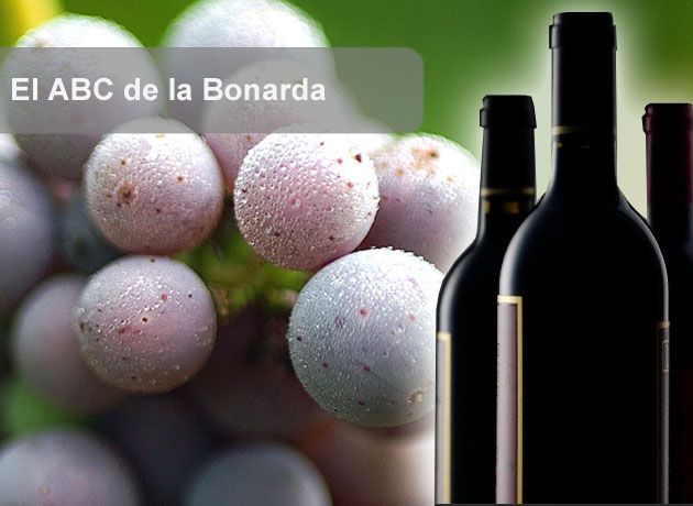 El ABC de la Bonarda: 10 claves para conocer mejor las cualidades de esta variedad