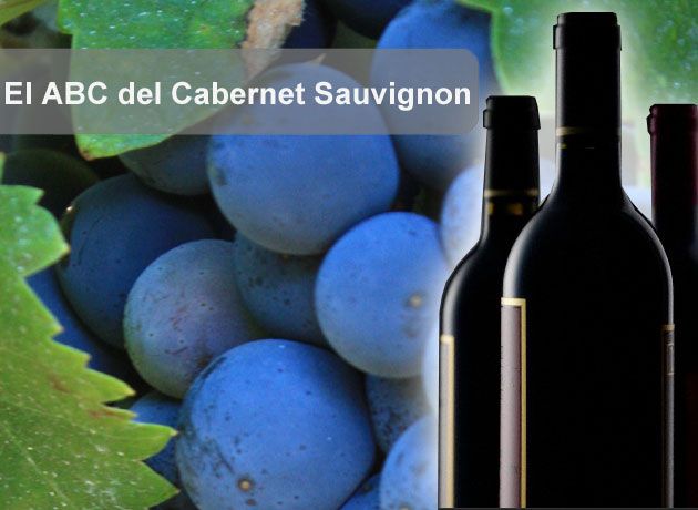 El ABC del Cabernet Sauvignon: 10 claves para conocer a fondo las cualidades de esta variedad