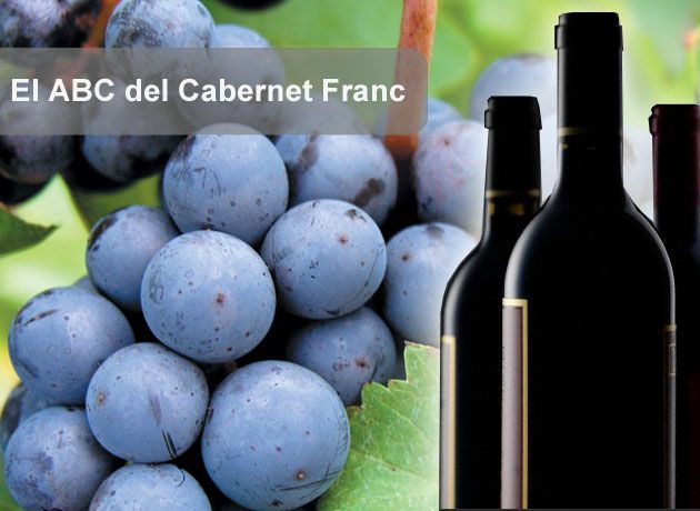 El ABC del Cabernet Franc: 10 claves para conocer mejor las cualidades de esta cepa