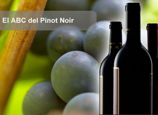 El ABC del Pinot Noir: 10 claves para conocer mejor las cualidades de esta variedad