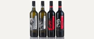 AC/DC lanza una colección de vinos con gustito metalero