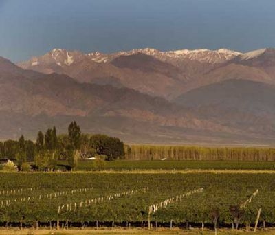 Terruño argentino de la semana: La Alegría de Altamira