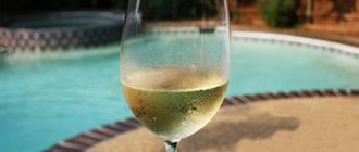 Vinos blancos pileteros: seis etiquetas perfectas para beber bajo la sombrilla