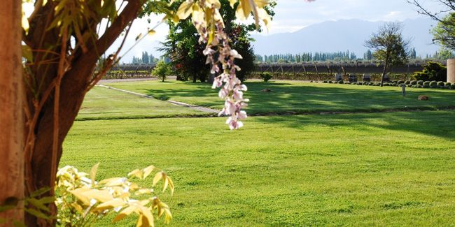 Bodega Lagarde y los últimos puntajes de sus vinos