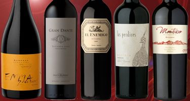 Vinos recomendados: 5 Bonardas "high class" para conocer el máximo potencial de la variedad