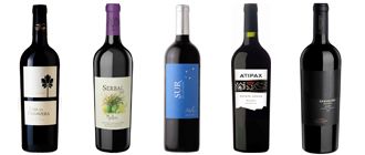 Cinco Malbec ideales para aquellos que buscan salir de lo común