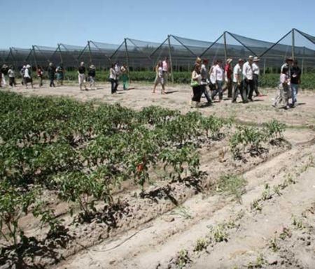 Conociendo el vino a través de sus caminos