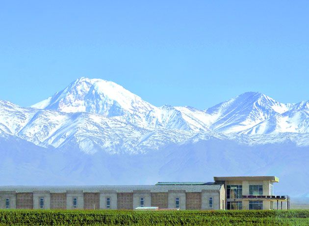 Domaine Bousquet se prepara para lanzar su primer vino icono, elaborado a partir de viñedos orgánicos