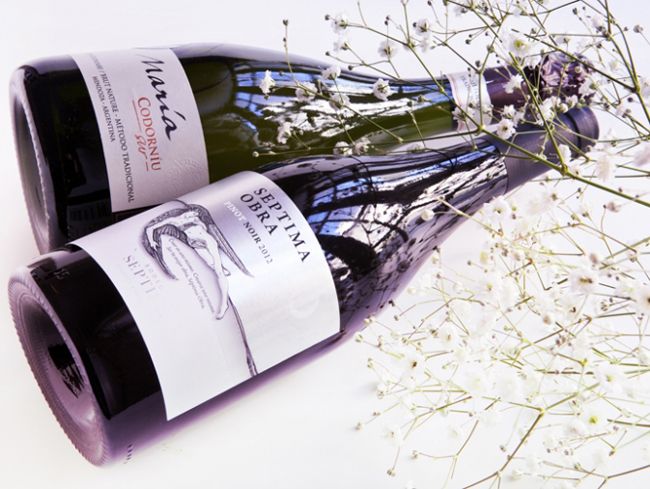 Vinos de enólogas: las mejores etiquetas argentinas creadas por mujeres