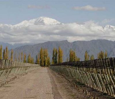 Del Fantino al single vineyard